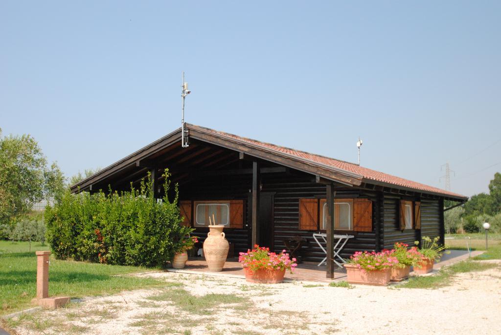 Guest house Primavera Latina
